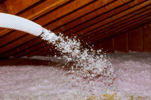 Best Fiberglass Insulation  in Rochester, PA