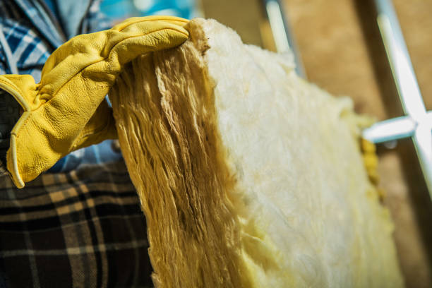 Best Blown-in Insulation  in Rochester, PA