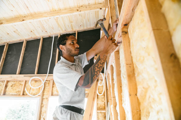 Best Attic Insulation Installation  in Rochester, PA
