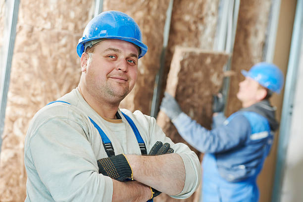 Best Insulation Replacement Services  in Rochester, PA