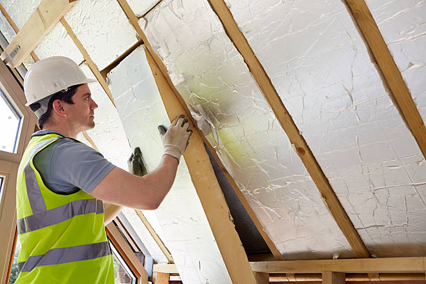 Best Cellulose Insulation  in Rochester, PA