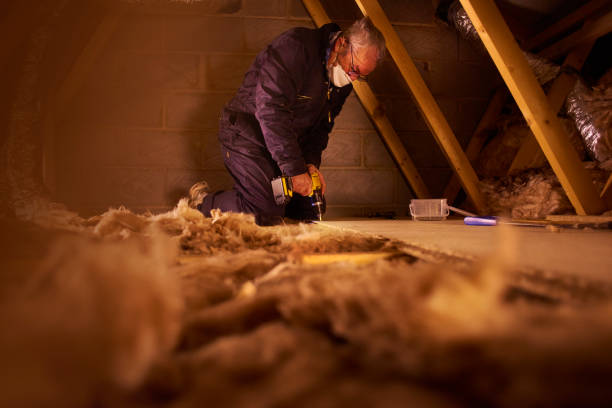 Best Crawl Space Insulation  in Rochester, PA